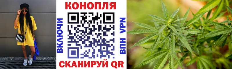 как найти наркотики  Разумное  МАРИХУАНА OG Kush 